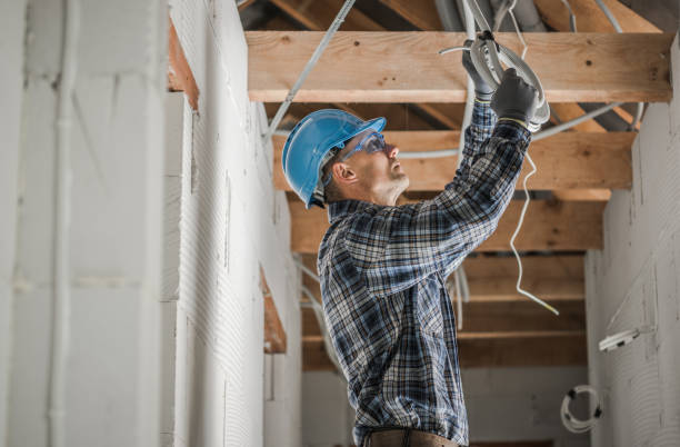 Best Electrician for Home Renovation  in Frankfort, MI